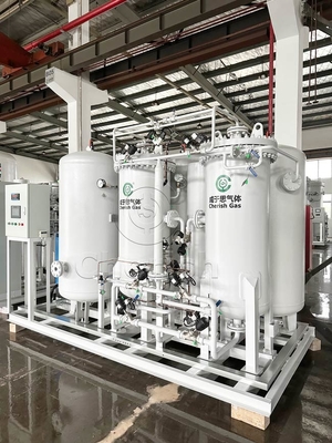 Pemantauan Online Pembersih Gas N2 Ramah Pengguna Memastikan Fungsi yang Efisien