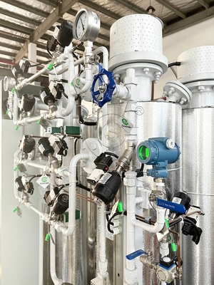 Pembersih Gas Nitrogen Bright Memantau Dan Mengatur Proses Pembersihan Nitrogen